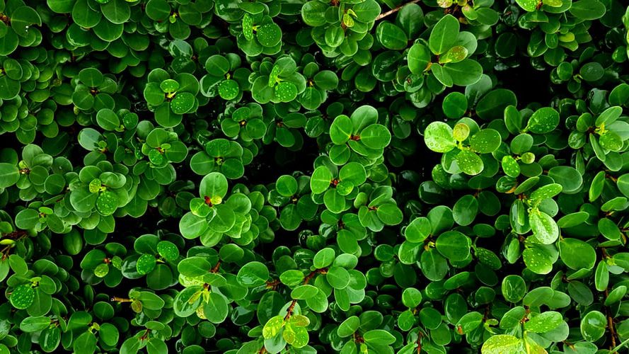 photo-1554570731-63bcddda4dcd