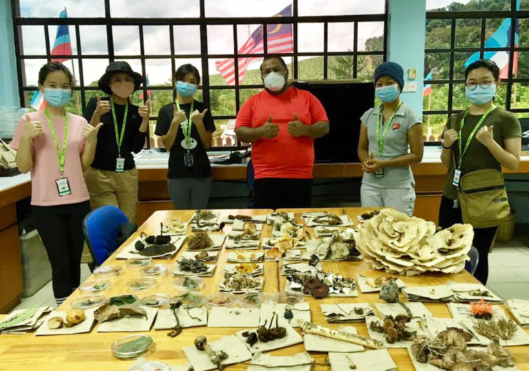 UMS Terima Geran RM5 Juta Untuk Bangunkan Produk Cendawan & Halia Di Sabah