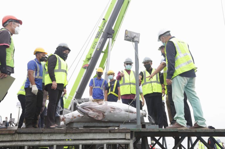 RM520 Juta Direkodkan Hasil Pendaratan Tuna Dalam Tempoh 8 Bulan Tahun Ini