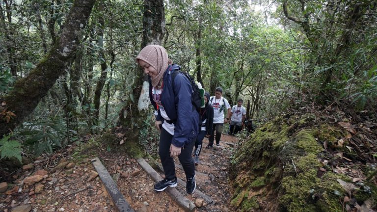 Aktiviti Pendakian Gunung Kinabalu Mula Dibuka Hari Ini