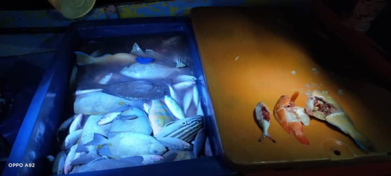 Kegiatan Bom Ikan Digagalkan