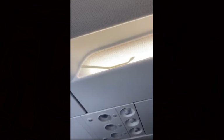 Penerbangan dilencongkan selepas ular ditemukan dalam pesawat 