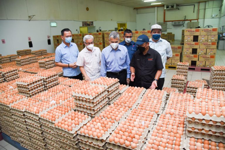 MAFI Terus Komited Pastikan Industri Ayam, Telur Kekal Mampan