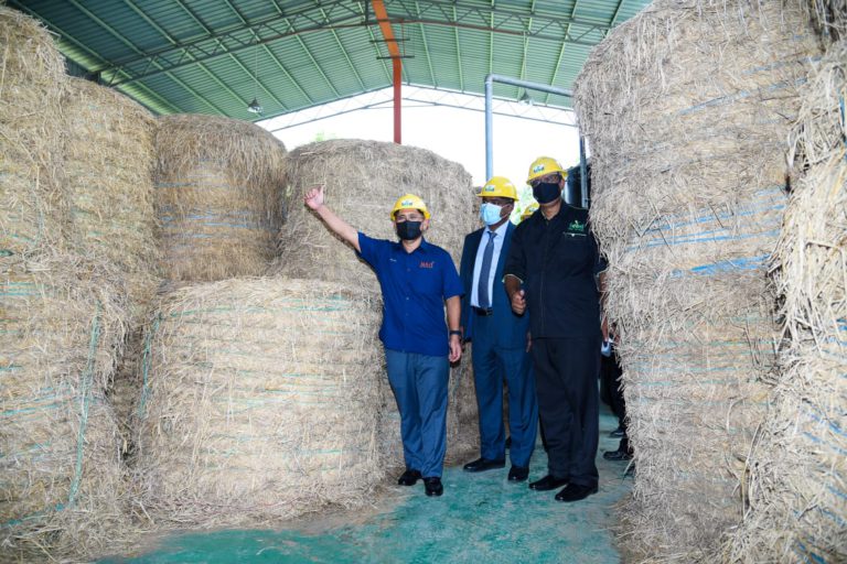 Malaysia berpotensi jadi hab terbiodegradasi terkemuka di Asia Tenggara