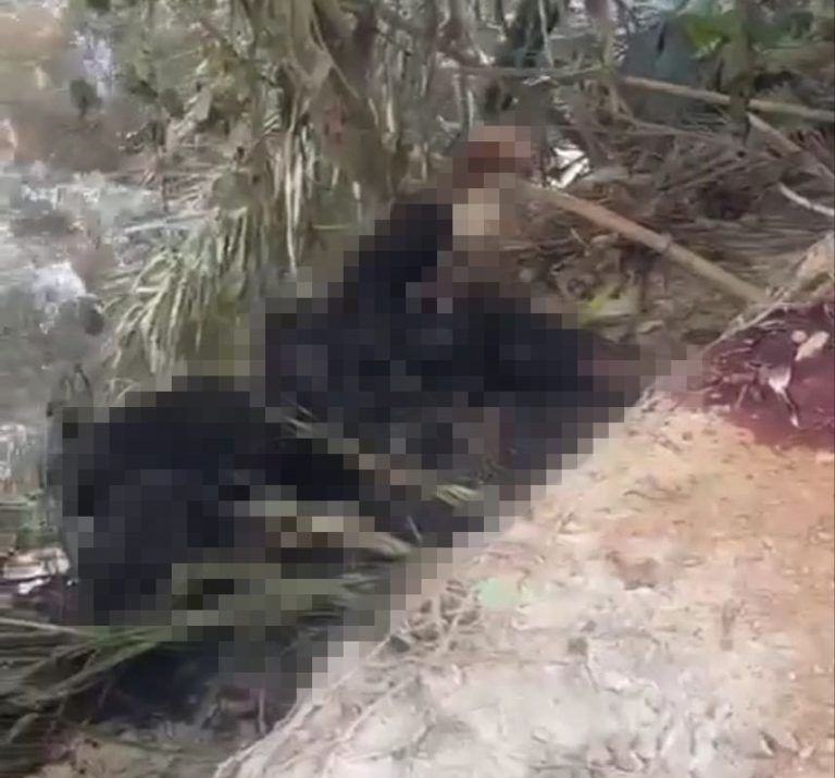 Identiti wanita dibunuh, dibakar dikenal pasti 