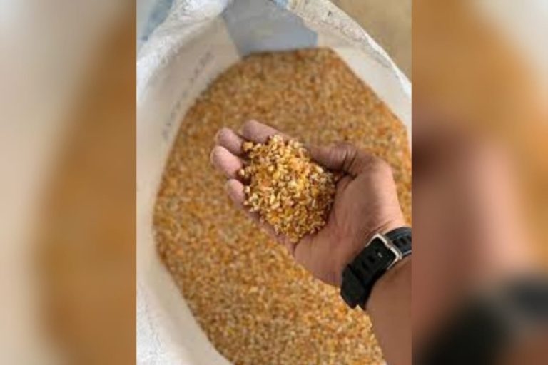 Kerajaan tangguh kutip fi permit empat komoditi makanan ternakan