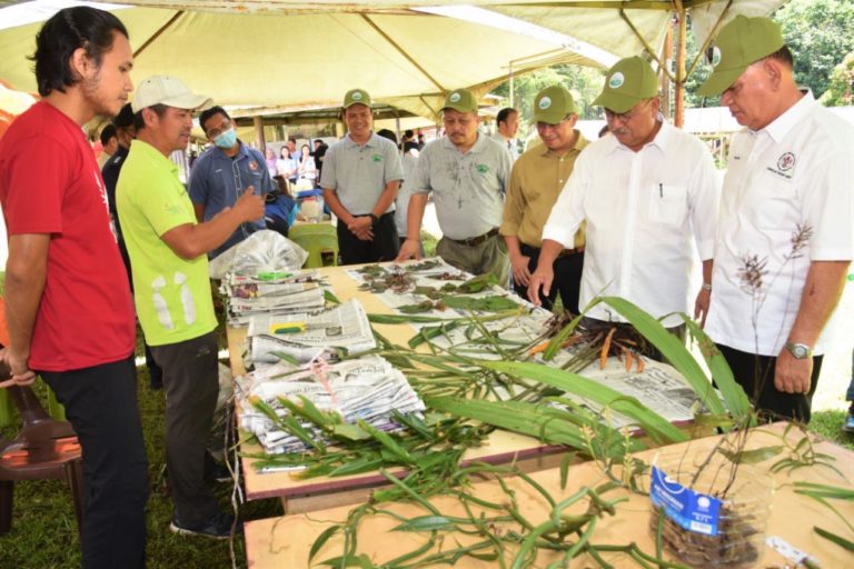 Sungai Taliwas bakal menjadi destinasi ekopelancongan terkenal di Sabah