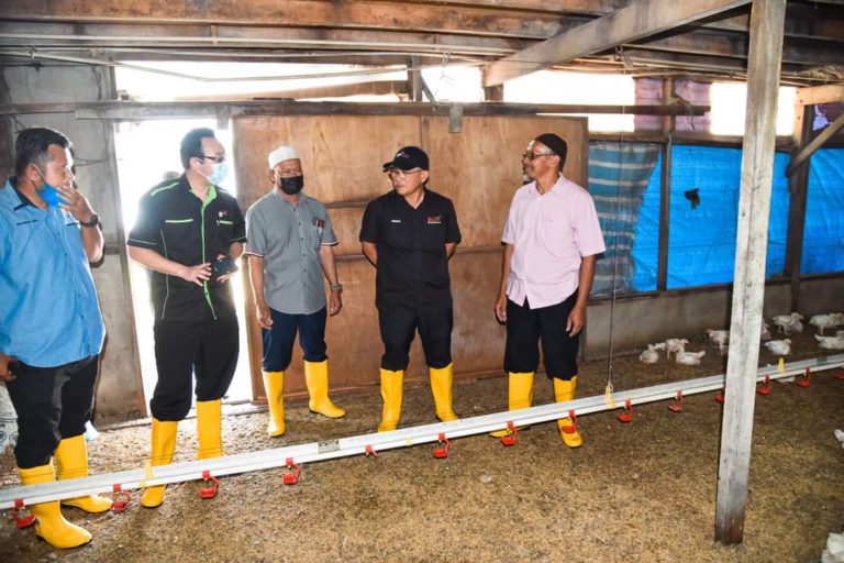 RM369.5 juta laksana pemberian subsidi kepada penternak bagi fasa ketiga