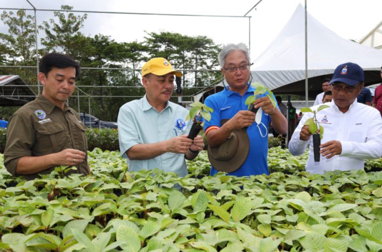 Guna konsep EVC untuk tingkatkan produktiviti – Hajiji