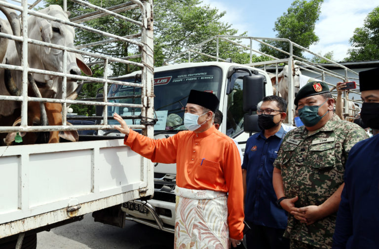 Hajiji serah 158 lembu korban sempena Aidiladha