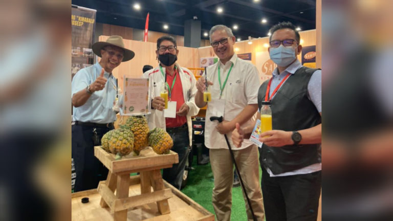 Sawit Kinabalu perkenal varieti nanas jenis MD2