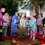 peryatim3
