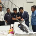 FB_IMG_1664155862839