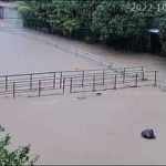 FB_IMG_1665315542347