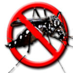 InShot_20221029_161204425