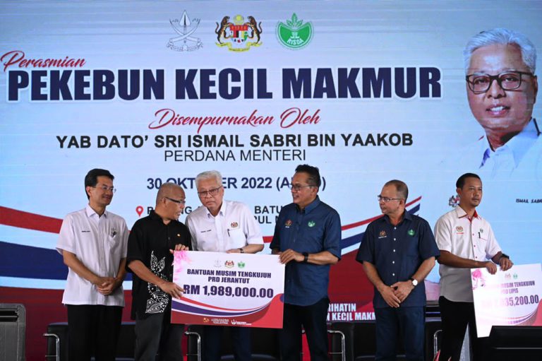 Bajet 2023 sedia pelbagai manfaat untuk pekebun kecil, kata PM￼