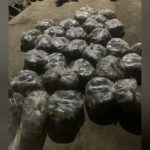 InShot_20221106_160547932