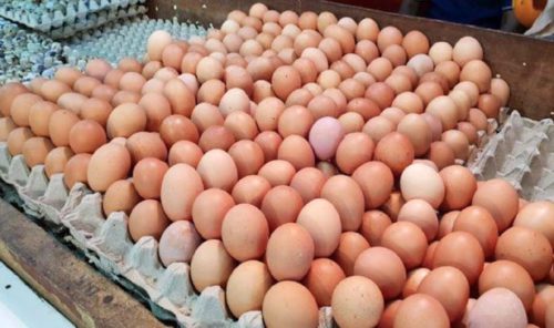 Kerajaan disaran pertimbangkan untuk mansuh harga siling telur ayam