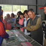 InShot_20221211_095321660