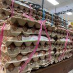 WhatsApp Image 2022-12-15 at 11.40.38 PM