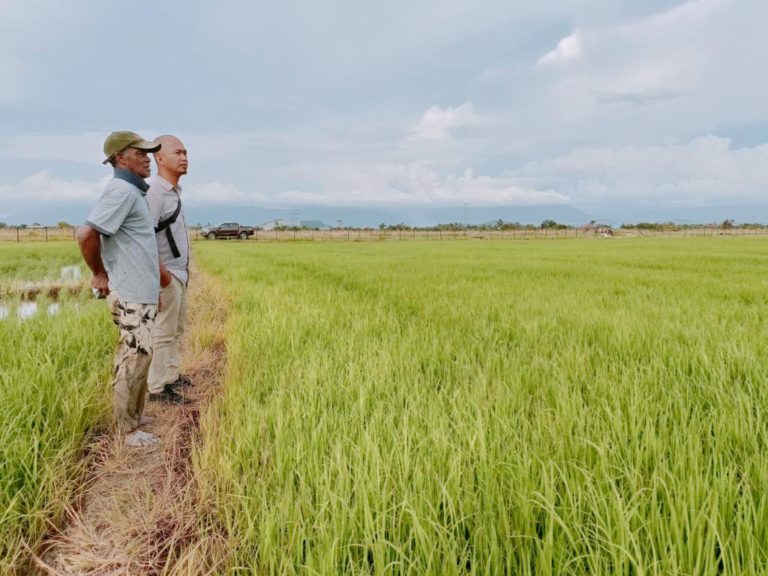 SMART SBB Bernas beri sinar kepada 40 pesawah di Kota Belud