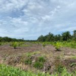 WhatsApp Image 2022-12-27 at 2.41.18 PM