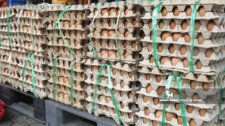 KPDN jamin bekalan ayam, telur mencukupi sepanjang Ramadan hingga menjelang Aidilfitri