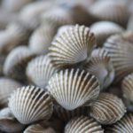 57FB990B-4283-435D-BA64-788D94B19506