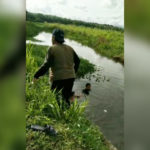 InShot_20230214_215340770