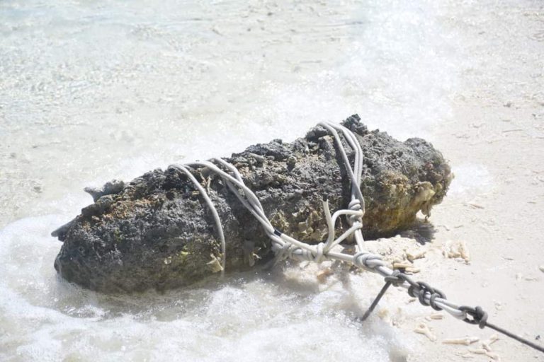 TLDM bantu musnahkan bom UXO