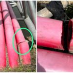 WhatsApp Image 2023-04-07 at 11.11.26 AM