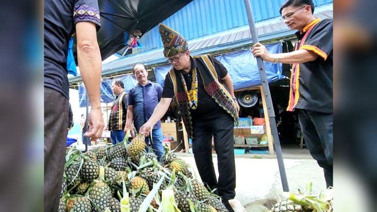 Cadang adakan Pesta Nanas dan Buah-buahan di Pekan Nabalu akhir tahun ini – Joniston