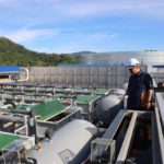 WhatsApp Image 2023-05-16 at 7.11.29 PM (1)