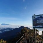 WhatsApp Image 2023-05-26 at 8.29.23 PM