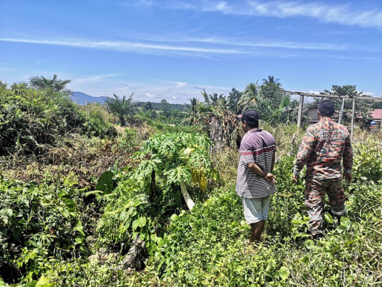 Kanak-kanak perempuan dikhuatiri hilang  di ladang sawit
