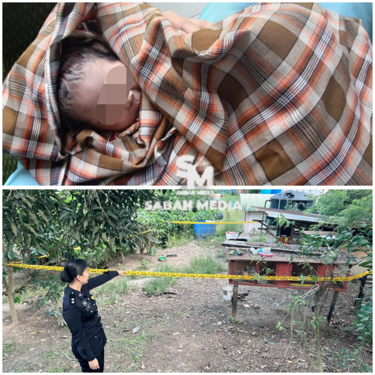 Bayi lelaki baru lahir ditinggalkan atas reban ayam