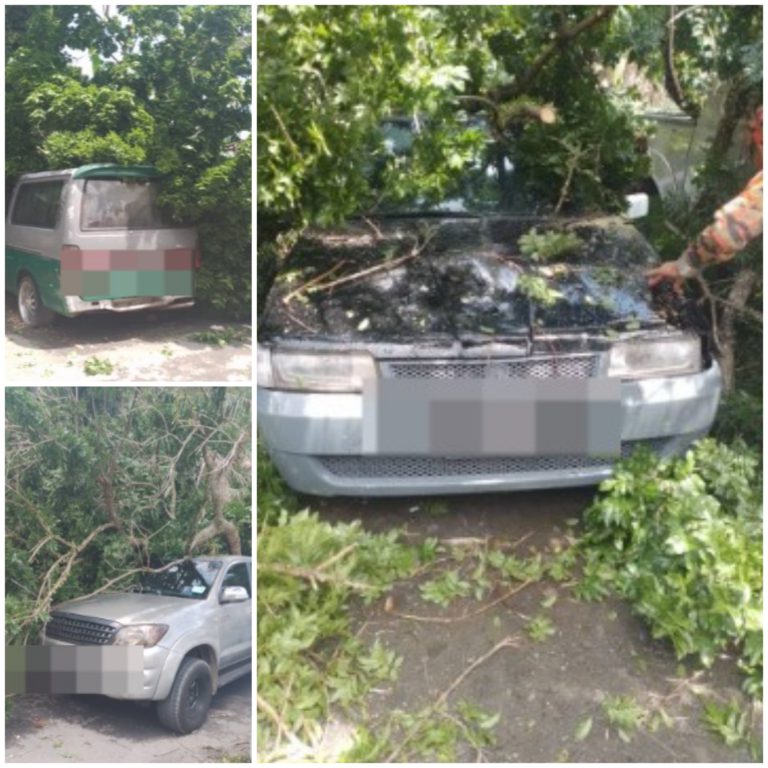 Tiga buah kenderaan dihempap pokok tumbang