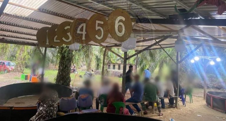 12 individu termasuk 3 wanita diberkas terlibat judi sabung ayam