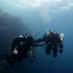 InShot_20230707_131056155