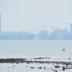 996842_601426086557605_880764942_n