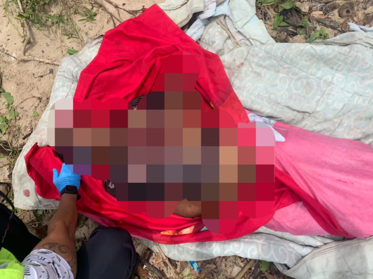 Pekerja am ladang sawit maut dibaham buaya