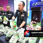 InShot_20230911_152520244