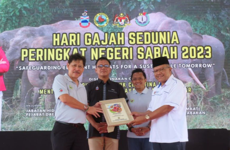 Spesies Gajah Borneo jadi tarikan utama destinasi pelancongan di Kalabakan