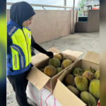 InShot_20230925_215734944