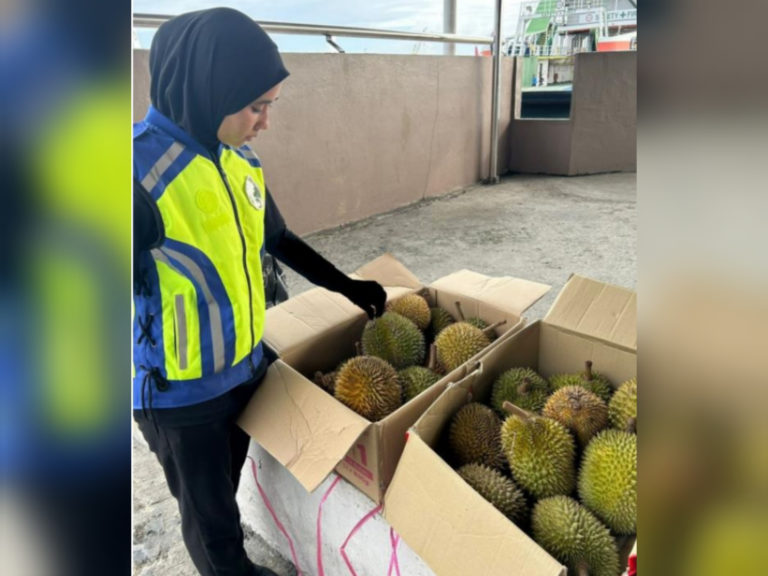 MAQIS Labuan rampas durian dibawa masuk tanpa permit