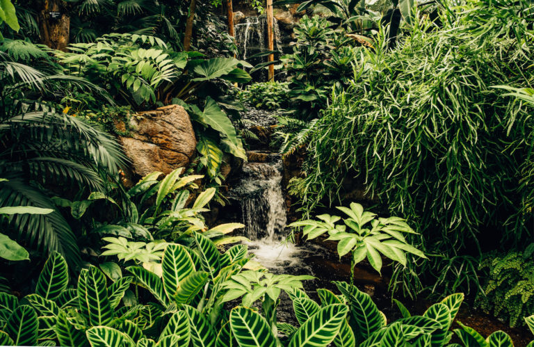 Perkasa wakaf hijau demi agenda ketahanan iklim negara