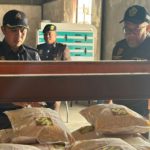 Picsart_23-09-22_09-46-11-019