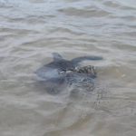 Screenshot_20230926_093231