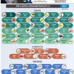 WhatsApp Image 2023-10-15 at 4.04.55 PM