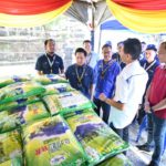 WhatsApp Image 2023-11-18 at 1.11.49 PM